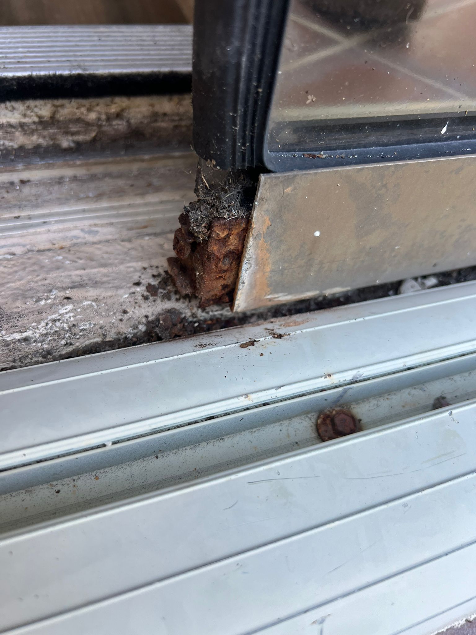 IMG 20250729 WA0162 1